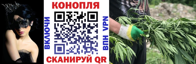 купить закладку  Губаха  МАРИХУАНА ГИДРОПОН 